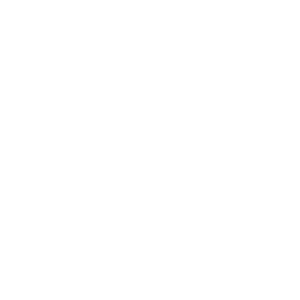 Shop Fox
